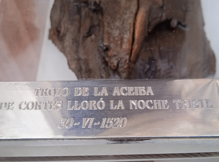 Detalle del trozo del árbol donde lloró H. Cortés en la Noche Triste
